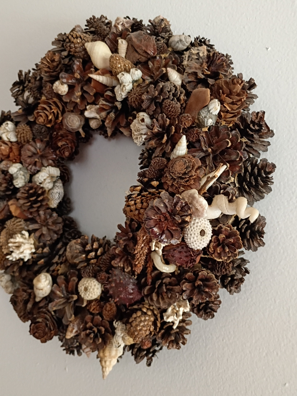 Stunning Natural Pinecone & Shell Wreath - Brown Sz 13x13
